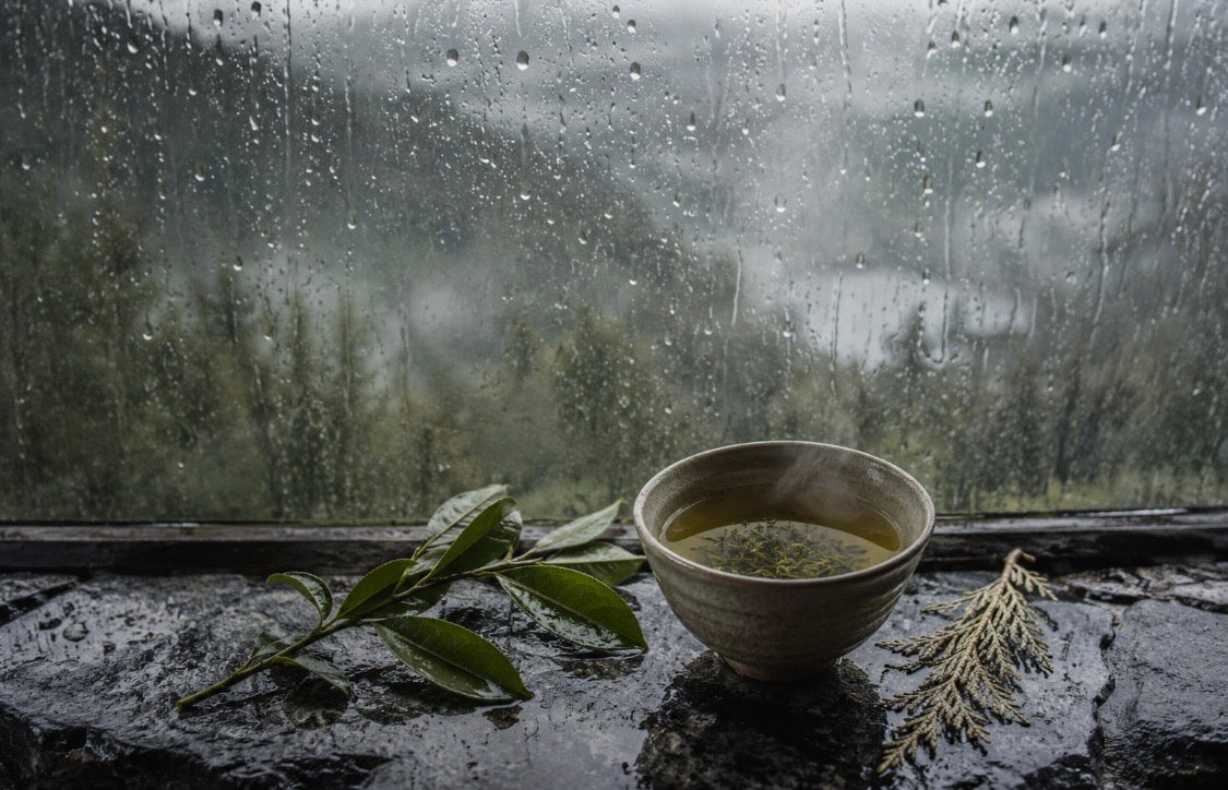 What does rain smell like in perfume?